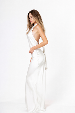 Olivia dress